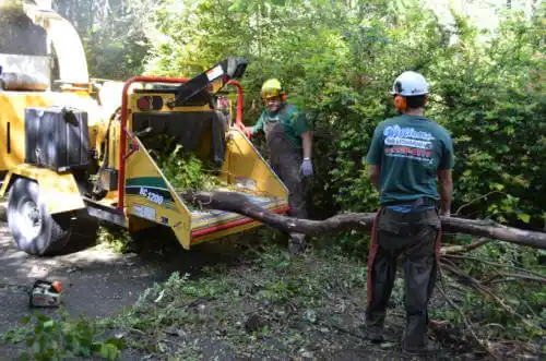 tree services Delavan